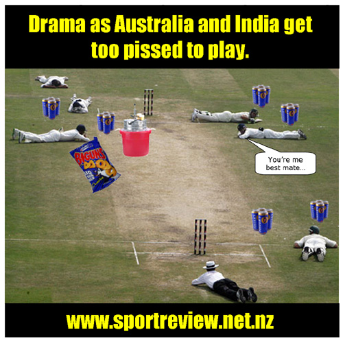 Cartoon Of Cricket